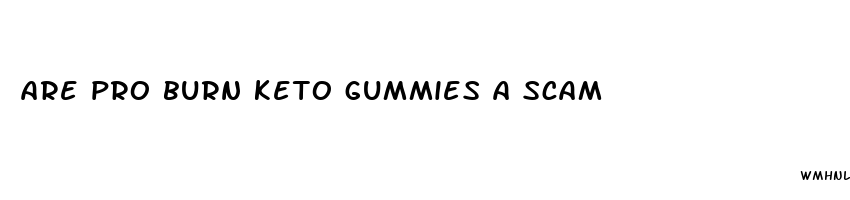 are pro burn keto gummies a scam