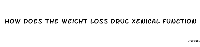 how does the weight loss drug xenical function