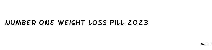 number one weight loss pill 2023