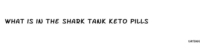 what is in the shark tank keto pills