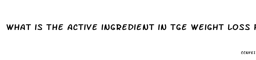 what is the active ingredient in tge weight loss pill tgt celebertys take