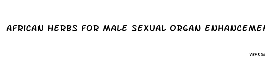 african herbs for male sexual organ enhancement