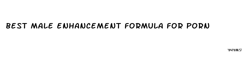 best male enhancement formula for porn