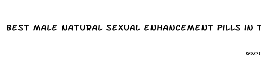 best male natural sexual enhancement pills in the us market