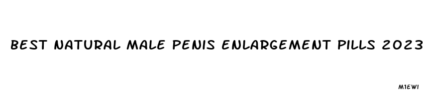 best natural male penis enlargement pills 2023