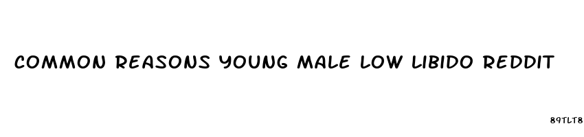 common reasons young male low libido reddit