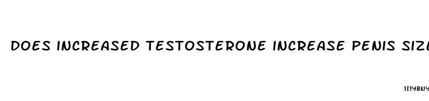 does increased testosterone increase penis size