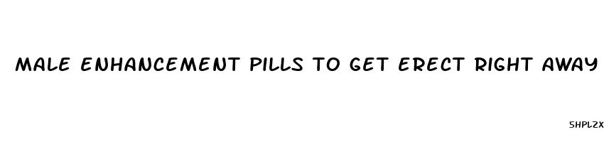 male enhancement pills to get erect right away