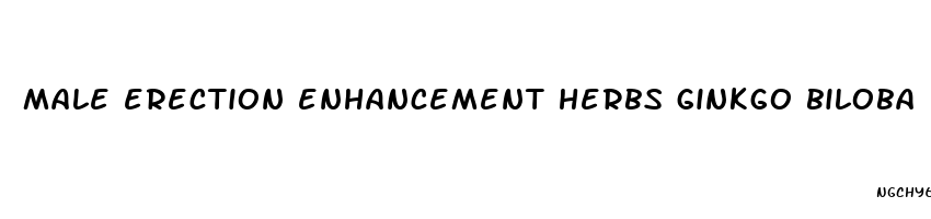 male erection enhancement herbs ginkgo biloba