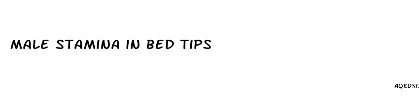 male stamina in bed tips