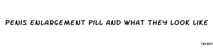 penis enlargement pill and what they look like