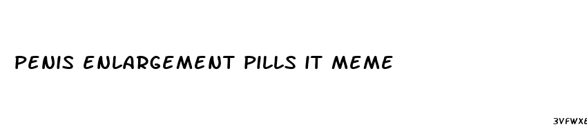 penis enlargement pills it meme