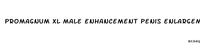 promagnum xl male enhancement penis enlargement pills at