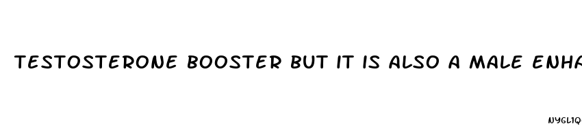 testosterone booster but it is also a male enhancement supplement