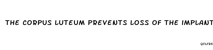 the corpus luteum prevents loss of the implanted embryo through menstruation by secreting