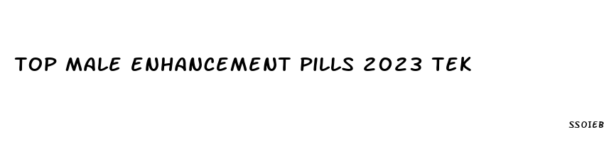 top male enhancement pills 2023 tek