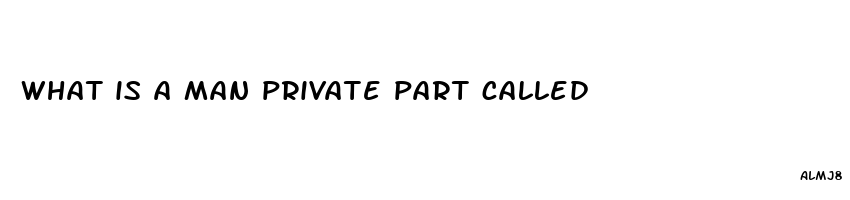 what is a man private part called