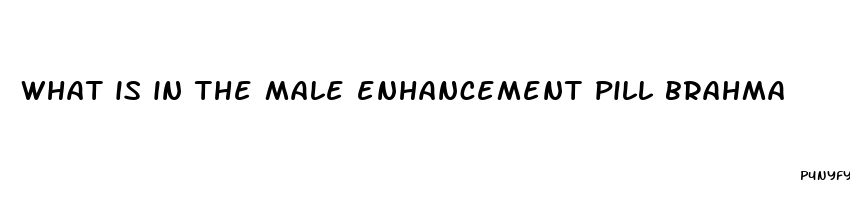 what is in the male enhancement pill brahma