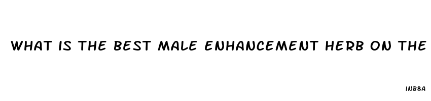 what is the best male enhancement herb on the market today