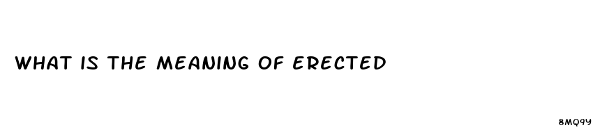 what is the meaning of erected