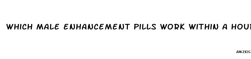 which male enhancement pills work within a hour