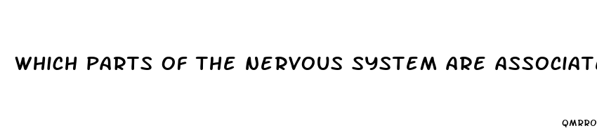 which parts of the nervous system are associated with the general adaptation syndrome
