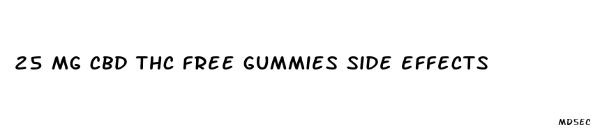 25 mg cbd thc free gummies side effects