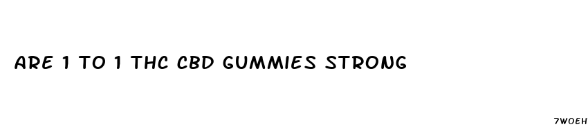 are 1 to 1 thc cbd gummies strong