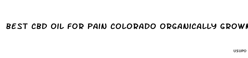 best cbd oil for pain colorado organically grown hemp full spectrum