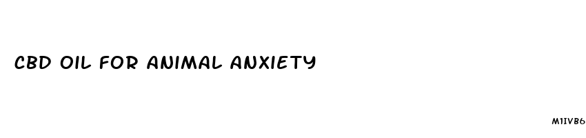 cbd oil for animal anxiety