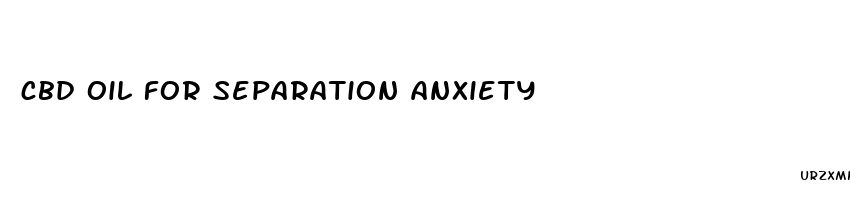 cbd oil for separation anxiety