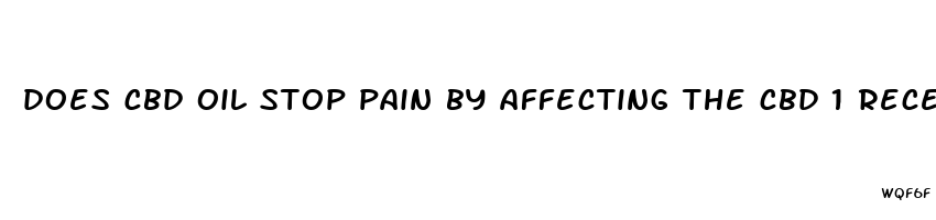 does cbd oil stop pain by affecting the cbd 1 recepters in the brain