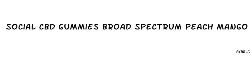 social cbd gummies broad spectrum peach mango