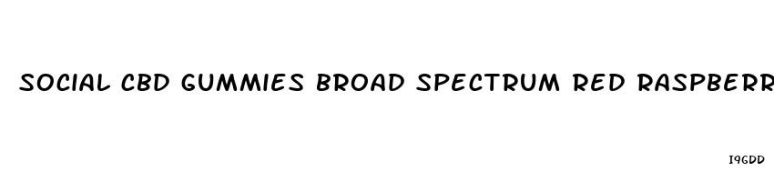 social cbd gummies broad spectrum red raspberry