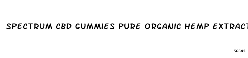 spectrum cbd gummies pure organic hemp extract 300mg