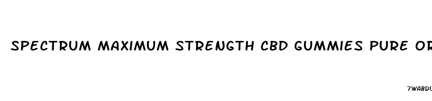 spectrum maximum strength cbd gummies pure organic hemp extract