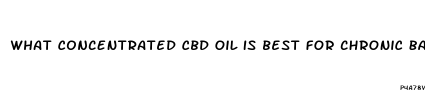 what concentrated cbd oil is best for chronic back pain